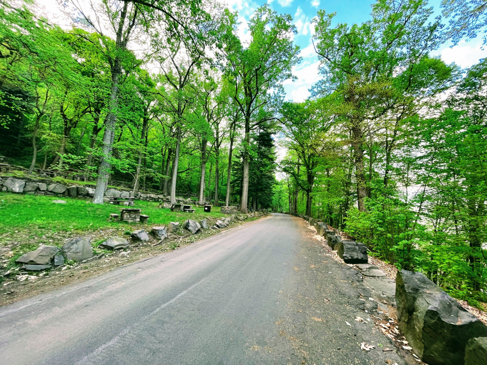 Bike path lined with trees